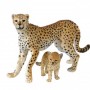 Cheetah with Cub 1