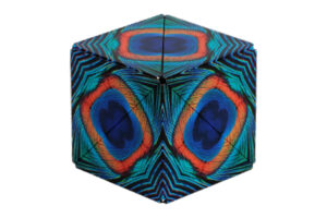 Shashibo Magnetic Cube - Wings